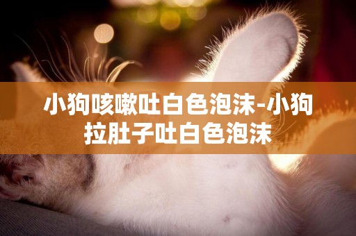 小狗咳嗽吐白色泡沫-小狗拉肚子吐白色泡沫