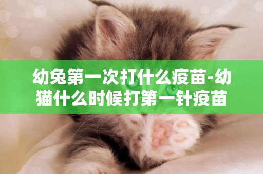 幼兔第一次打什么疫苗-幼貓什么時候打第一針疫苗