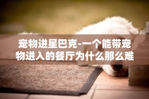 寵物進星巴克-一個能帶寵物進入的餐廳為什么那么難