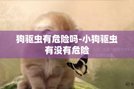 狗驅蟲有危險嗎-小狗驅蟲有沒有危險