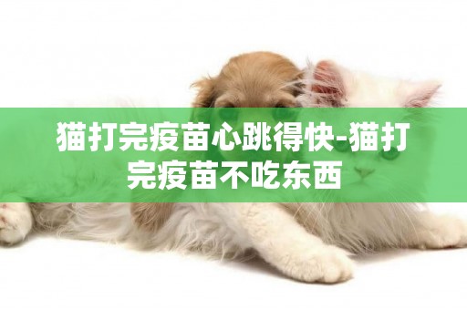 貓打完疫苗心跳得快-貓打完疫苗不吃東西