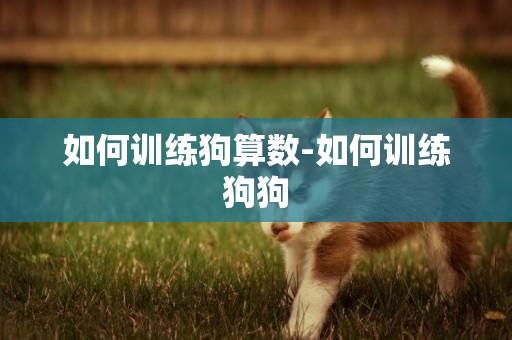 如何訓練狗算數-如何訓練狗狗