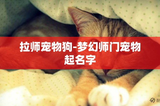拉師寵物狗-夢幻師門寵物起名字