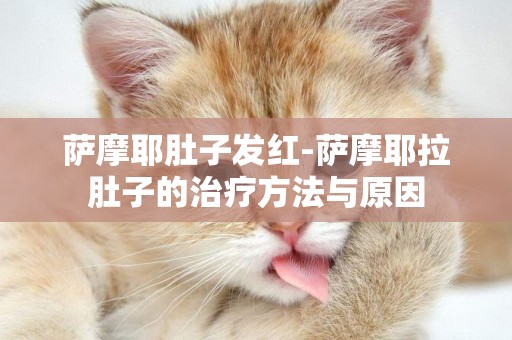 薩摩耶肚子發紅-薩摩耶拉肚子的治療方法與原因