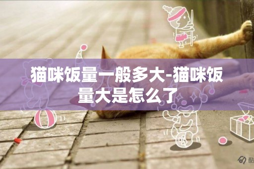 貓咪飯量一般多大-貓咪飯量大是怎么了