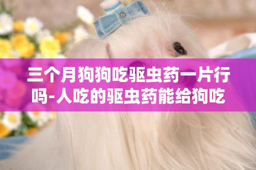 三個月狗狗吃驅蟲藥一片行嗎-人吃的驅蟲藥能給狗吃嗎