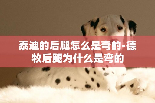 泰迪的后腿怎么是彎的-德牧后腿為什么是彎的