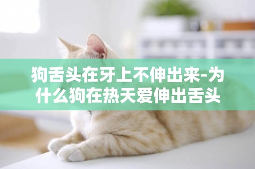 狗舌頭在牙上不伸出來-為什么狗在熱天愛伸出舌頭