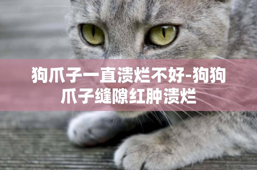 狗爪子一直潰爛不好-狗狗爪子縫隙紅腫潰爛