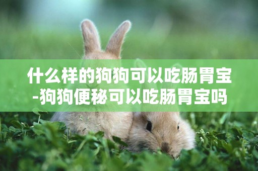 什么樣的狗狗可以吃腸胃寶-狗狗便秘可以吃腸胃寶嗎