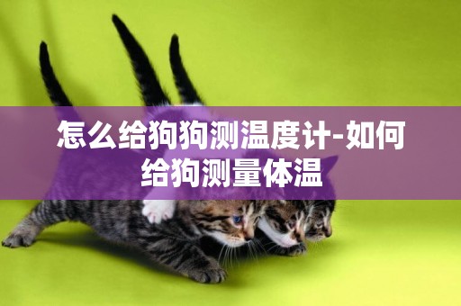 怎么給狗狗測溫度計-如何給狗測量體溫