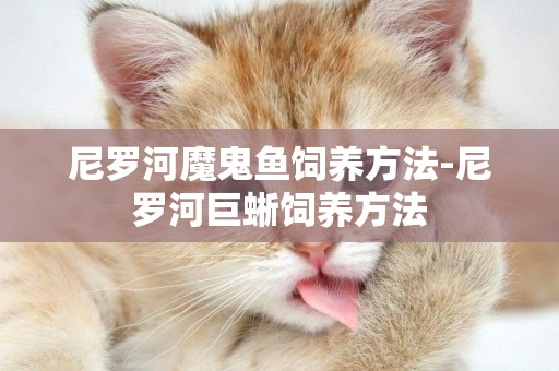 尼羅河魔鬼魚飼養方法-尼羅河巨蜥飼養方法