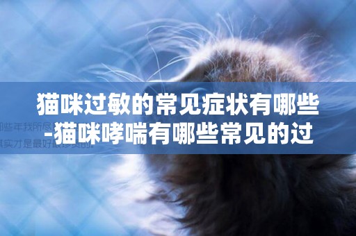 貓咪過敏的常見癥狀有哪些-貓咪哮喘有哪些常見的過敏原