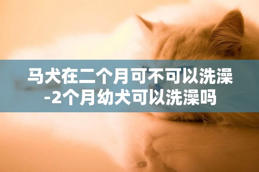 馬犬在二個月可不可以洗澡-2個月幼犬可以洗澡嗎