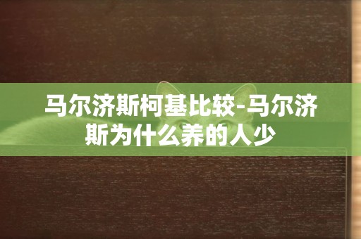 馬爾濟斯柯基比較-馬爾濟斯為什么養的人少