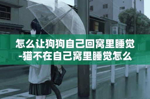 怎么讓狗狗自己回窩里睡覺-貓不在自己窩里睡覺怎么辦