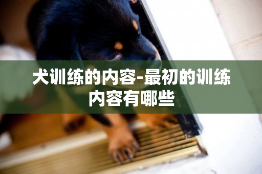 犬訓練的內容-最初的訓練內容有哪些