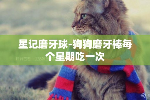 星記磨牙球-狗狗磨牙棒每個星期吃一次