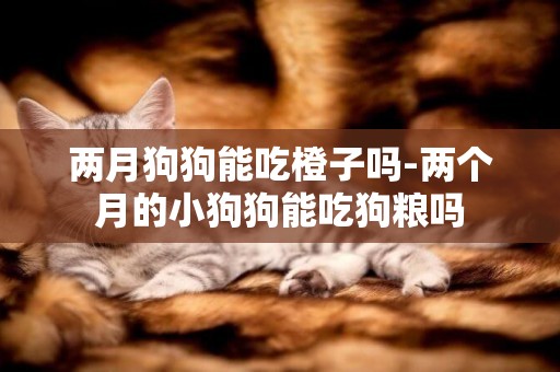兩月狗狗能吃橙子嗎-兩個月的小狗狗能吃狗糧嗎