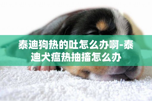 泰迪狗熱的吐怎么辦啊-泰迪犬瘟熱抽搐怎么辦