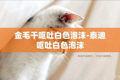 金毛干嘔吐白色泡沫-泰迪嘔吐白色泡沫