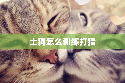 土狗怎么訓練打獵
