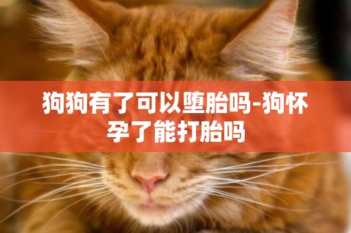 狗狗有了可以墮胎嗎-狗懷孕了能打胎嗎