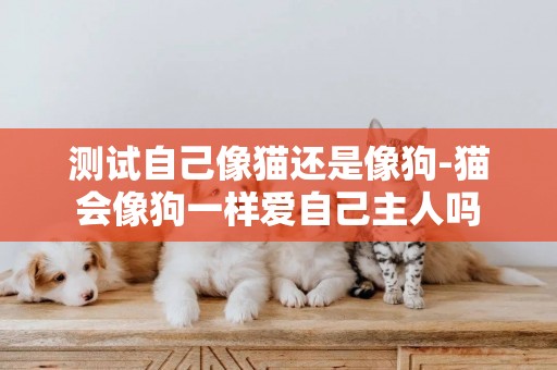 測試自己像貓還是像狗-貓會像狗一樣愛自己主人嗎