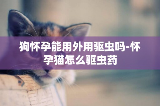 狗懷孕能用外用驅蟲嗎-懷孕貓怎么驅蟲藥