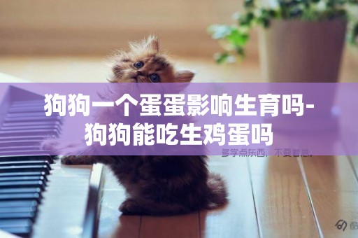狗狗一個蛋蛋影響生育嗎-狗狗能吃生雞蛋嗎