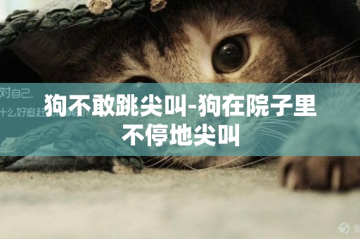 狗不敢跳尖叫-狗在院子里不停地尖叫