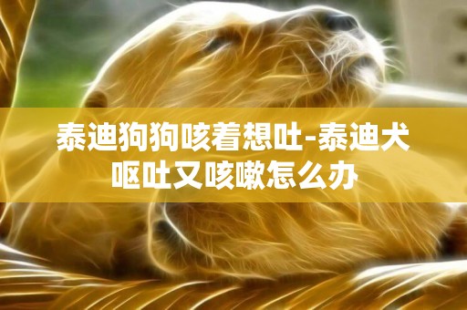 泰迪狗狗咳著想吐-泰迪犬嘔吐又咳嗽怎么辦