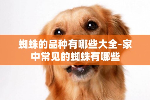 蜘蛛的品種有哪些大全-家中常見的蜘蛛有哪些