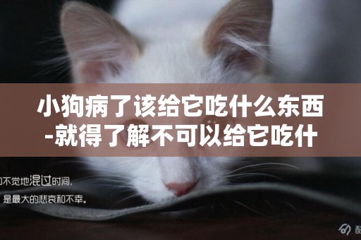 小狗病了該給它吃什么東西-就得了解不可以給它吃什么東西