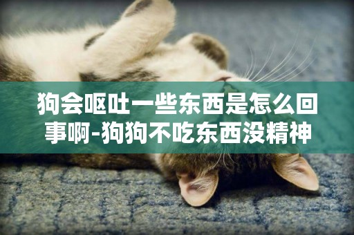 狗會嘔吐一些東西是怎么回事啊-狗狗不吃東西沒精神嘔吐怎么回事啊