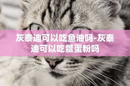 灰泰迪可以吃魚油嗎-灰泰迪可以吃鱉蛋粉嗎