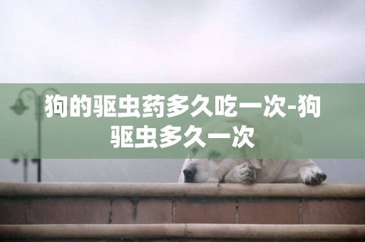 狗的驅蟲藥多久吃一次-狗驅蟲多久一次
