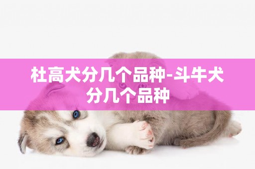 杜高犬分幾個品種-斗牛犬分幾個品種