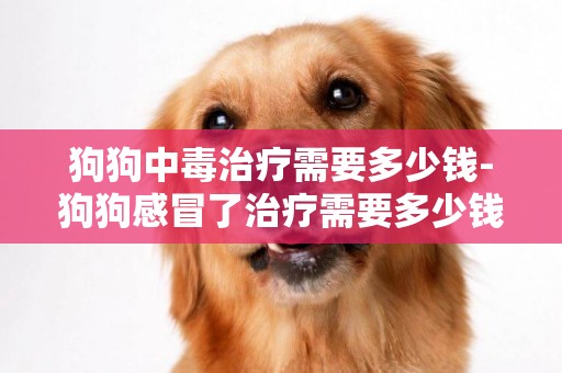 狗狗中毒治療需要多少錢-狗狗感冒了治療需要多少錢