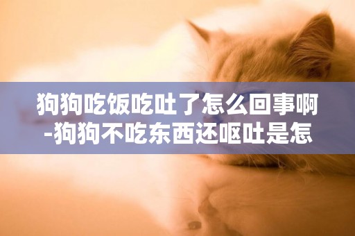 狗狗吃飯吃吐了怎么回事啊-狗狗不吃東西還嘔吐是怎么回事