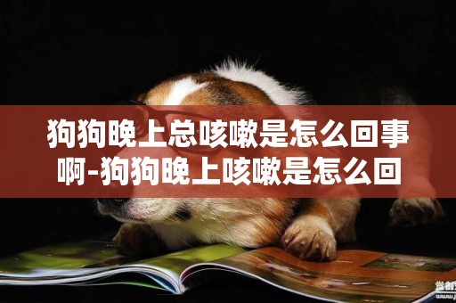 狗狗晚上總咳嗽是怎么回事啊-狗狗晚上咳嗽是怎么回事