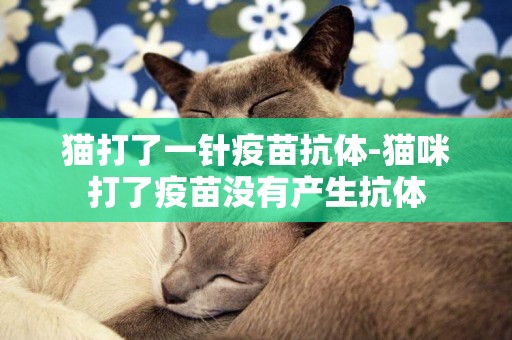 貓打了一針疫苗抗體-貓咪打了疫苗沒有產生抗體