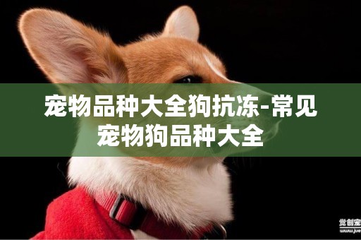寵物品種大全狗抗凍-常見寵物狗品種大全
