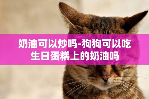 奶油可以炒嗎-狗狗可以吃生日蛋糕上的奶油嗎