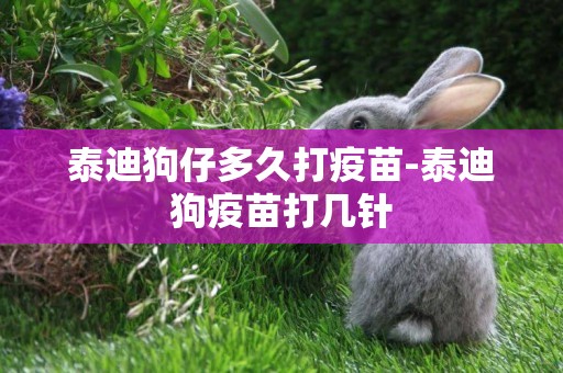 泰迪狗仔多久打疫苗-泰迪狗疫苗打幾針