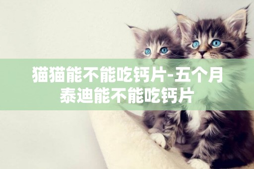 貓貓能不能吃鈣片-五個月泰迪能不能吃鈣片