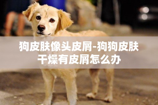 狗皮膚像頭皮屑-狗狗皮膚干燥有皮屑怎么辦