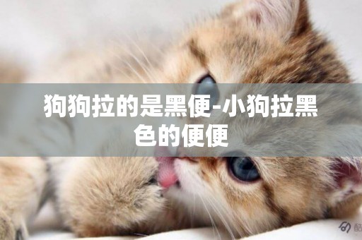 狗狗拉的是黑便-小狗拉黑色的便便
