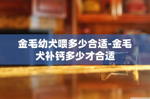 金毛幼犬喂多少合適-金毛犬補鈣多少才合適