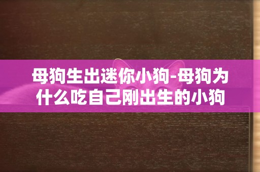 母狗生出迷你小狗-母狗為什么吃自己剛出生的小狗